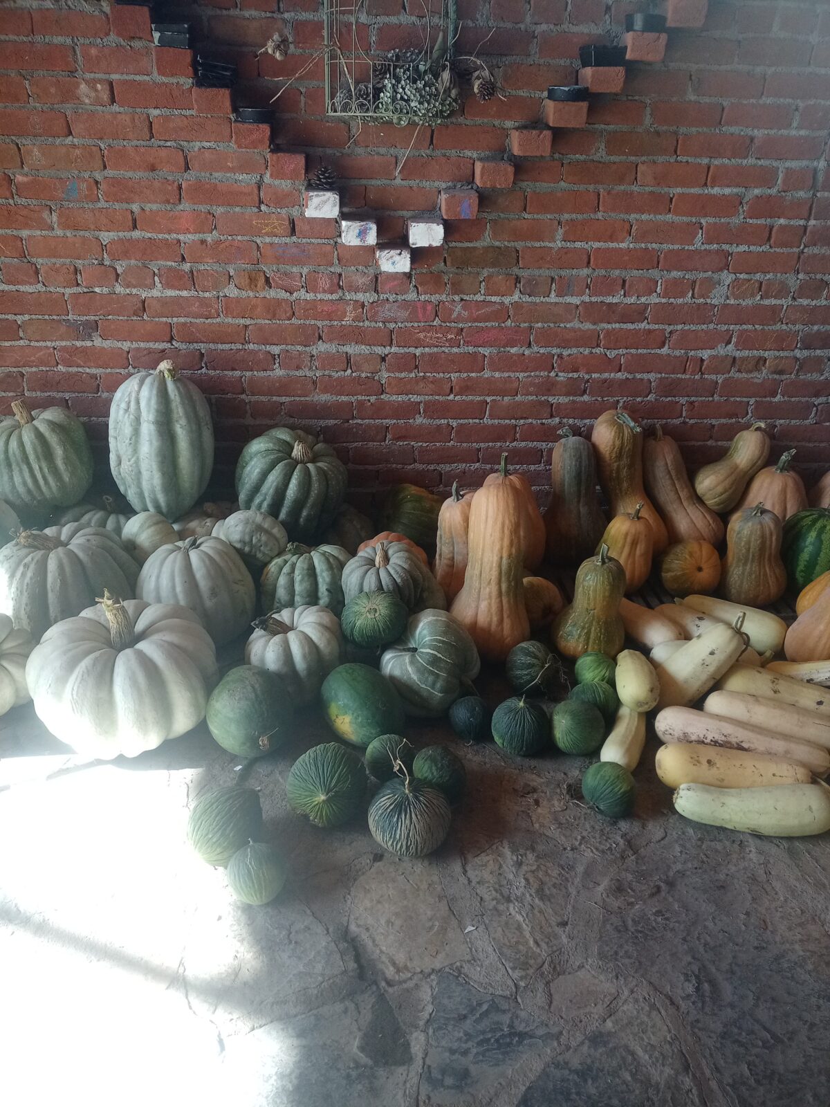 İzmir reçine at çiftliği